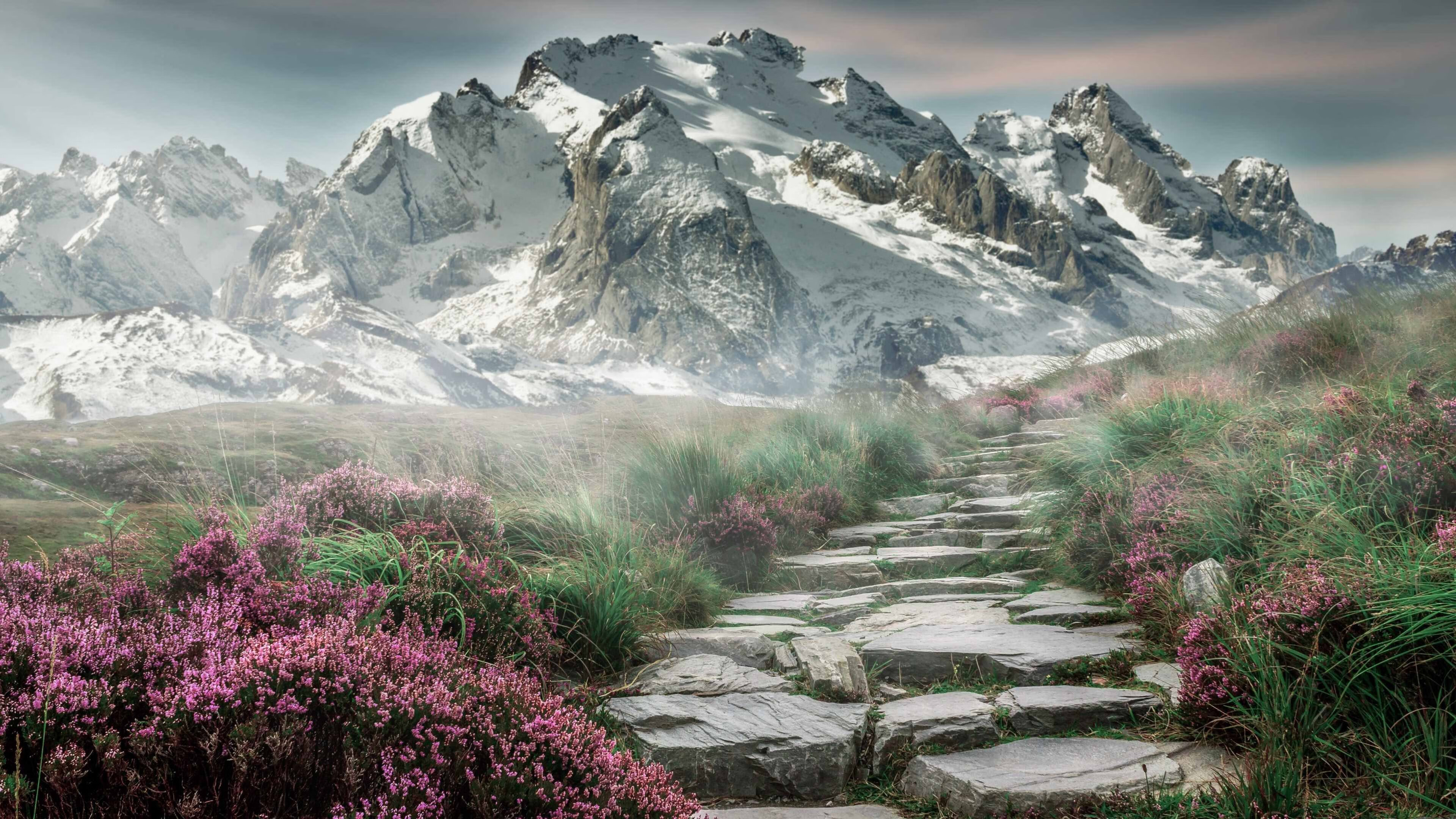 kaiyun.com-NBA新规出台，裁判判罚引发热议，nba裁判决定比赛