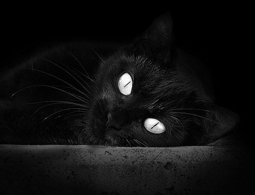 kaiyun体育综合-_足球少年未来之星：青训营培养新力量_，足球少年养成