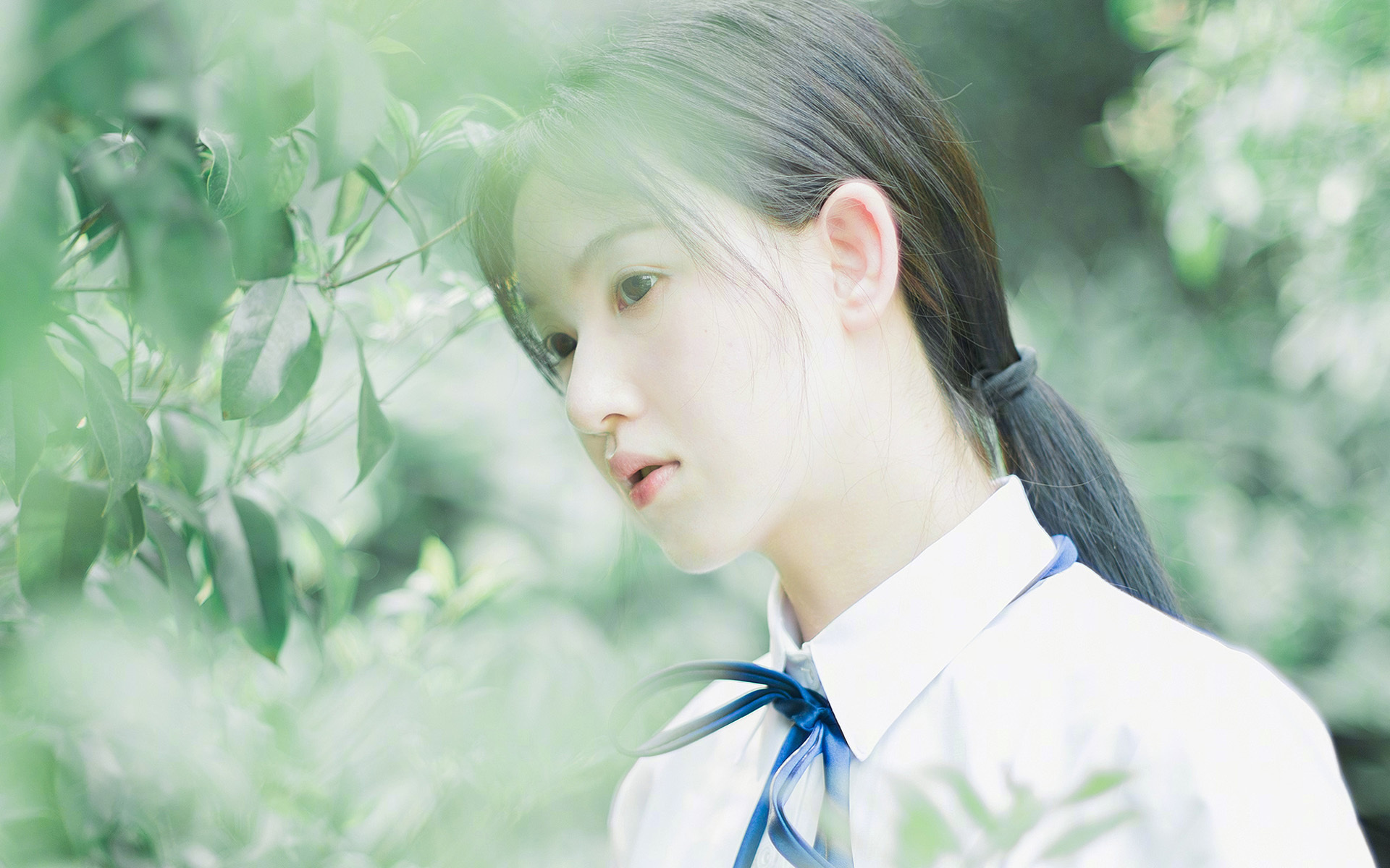 _足球迷狂欢夜：直播比赛看得过瘾_，足球直播 球迷网