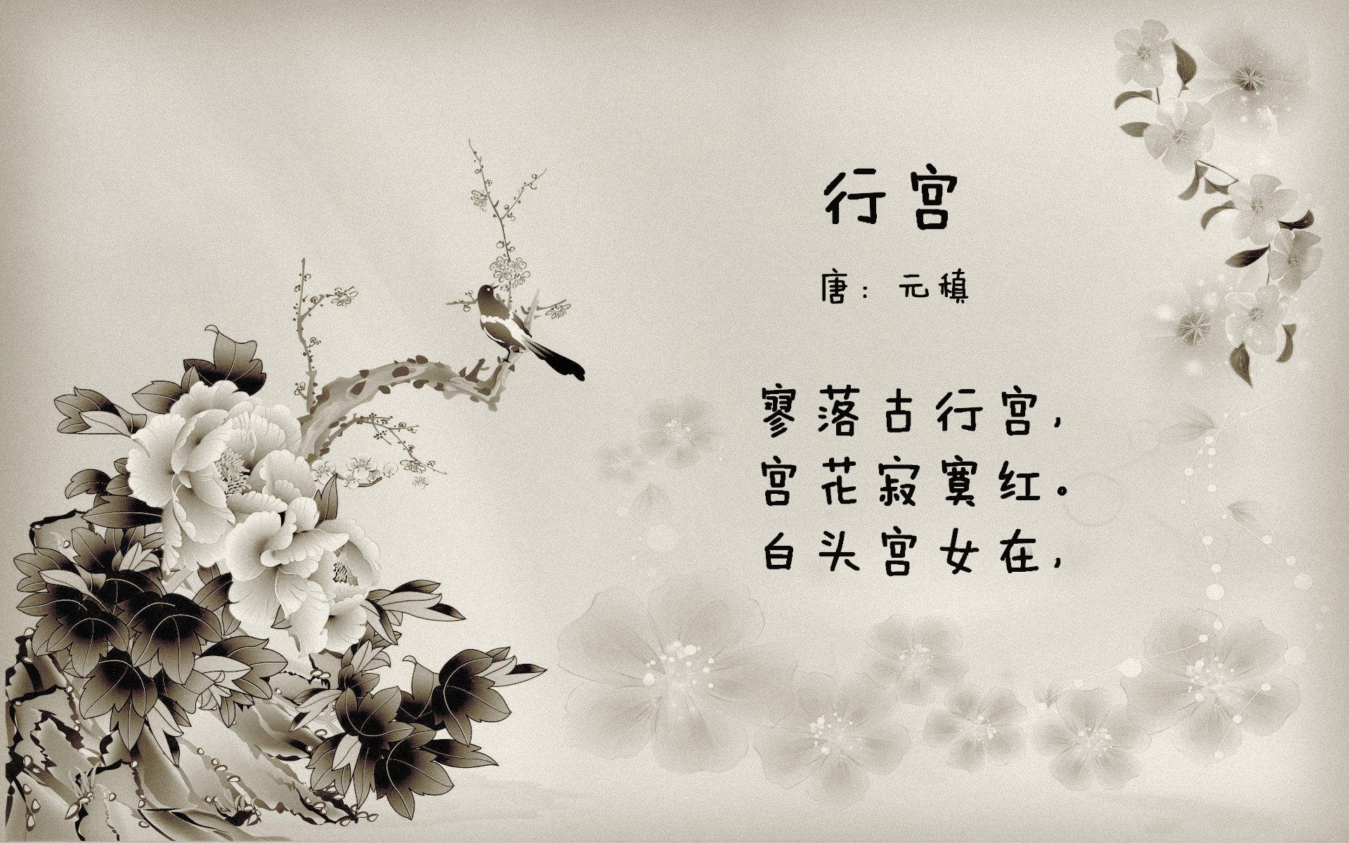 球场内外的故事:NBA球员的公益事业持续升温,nba球员场外收入