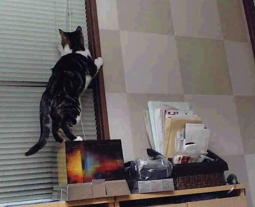 球场内外:体育精神和团队合作的重要性,十个在球场实践当中会涉及到的球场精神