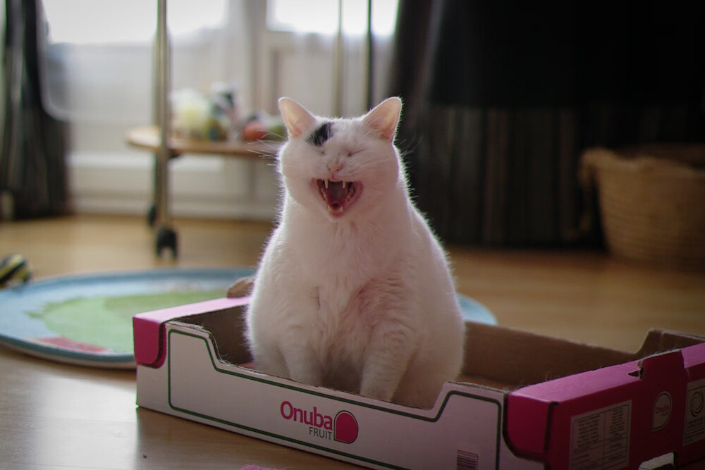 篮球训练方法结合大数据分析优化,篮球训练理论与方法