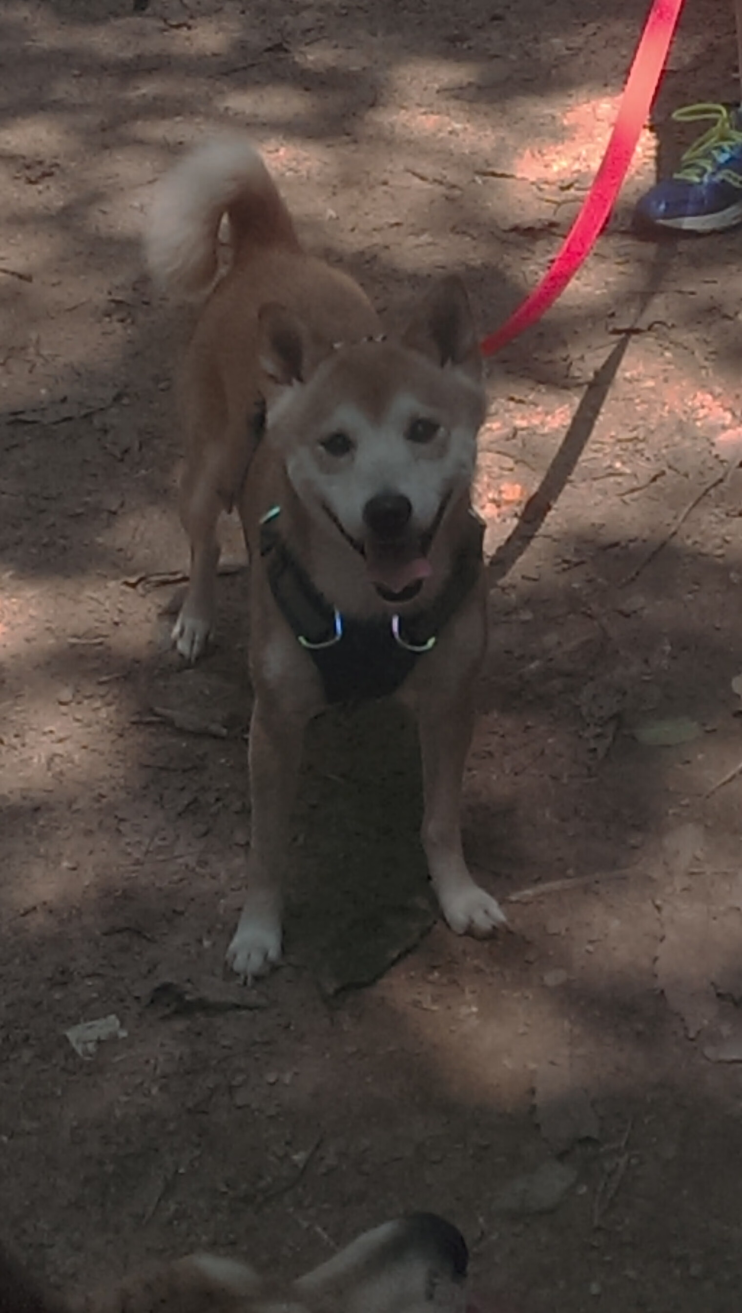 逆转“神迹之夜”:那些逆境中的传奇瞬间,神迹降临