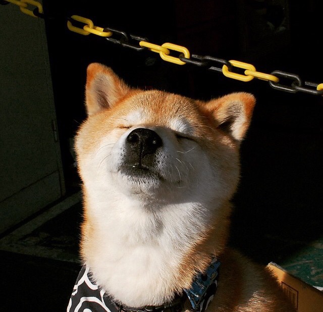 马德里竞技连败，出线形势堪忧，马德里竞技的比赛