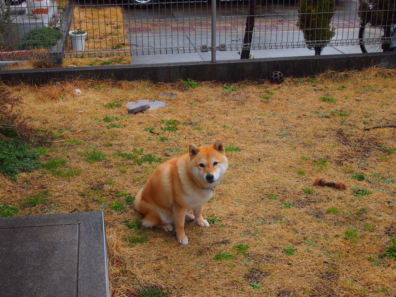 开云平台-马德里竞技逆境反击战，赢得关键比赛，马德里之战胜利者