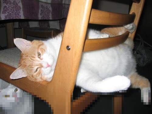 kaiyun体育app-EDG战术打法多样化，edg对战表