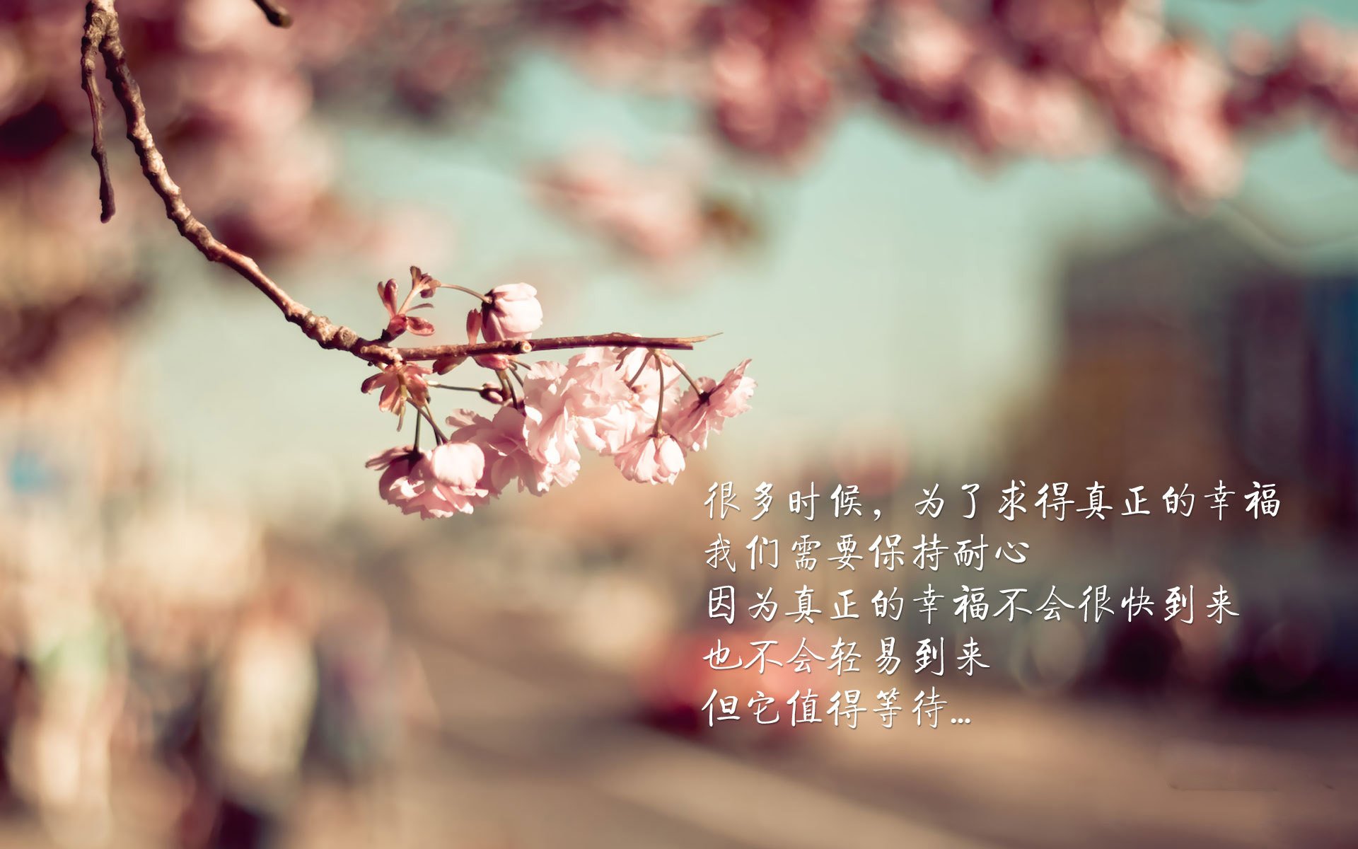 开云下载-南美球队再次征战国际赛事，引爆激情对决，南美球队有哪些