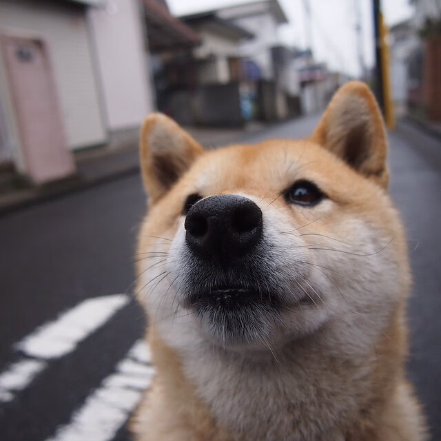 女足世界杯热度上升，赛事关注度创新高，女足世界杯受追捧