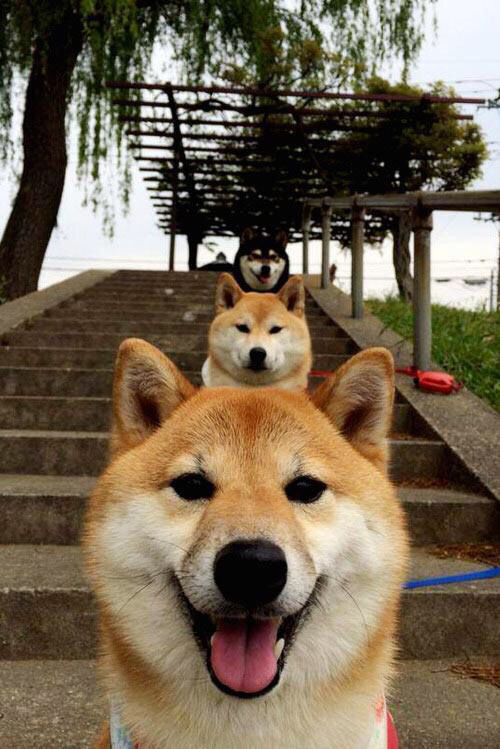 KAIYUN 中国大陆-巴萨领先积分榜！梅西出色发挥，助队保持胜利，巴萨续约梅西报价