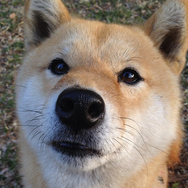 kaiyun.com-瑞典与斯洛文尼亚战平，艰难保持不败，瑞典和斯洛