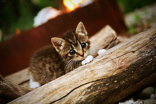 俱乐部战略规划与执行力不足，俱乐部战略规划与执行力不足怎么办