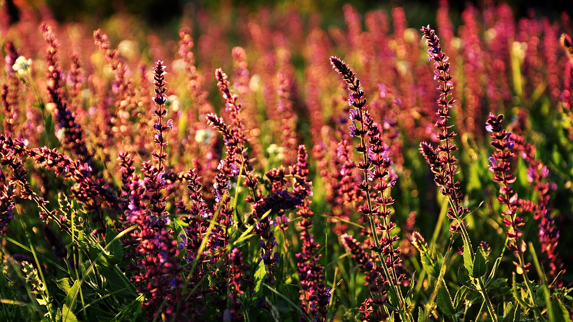 开云官网在线-拜仁球员体能分配合理，控制后程节奏，拜仁队内