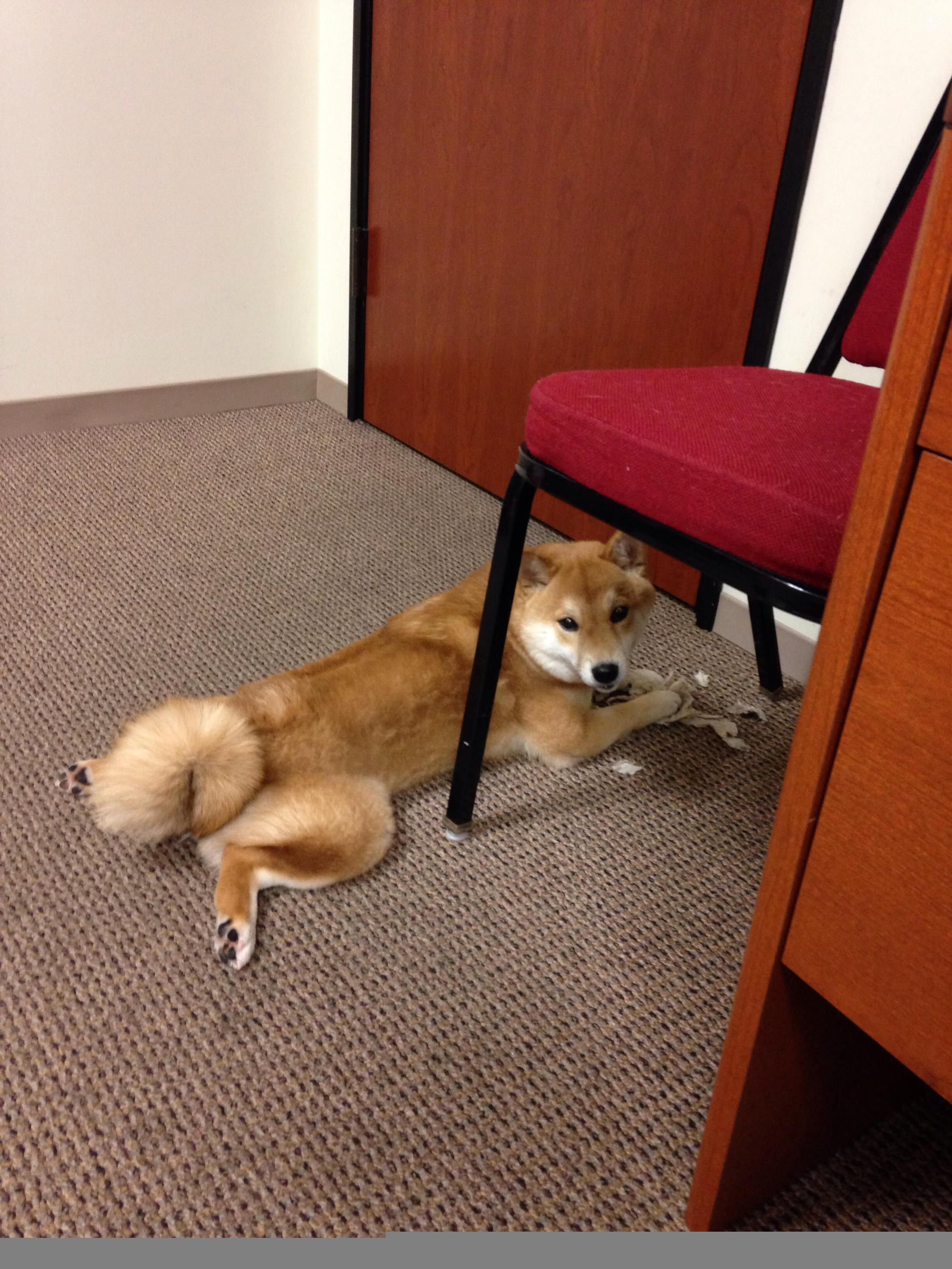 轻艇马拉松为兴隆湖注入动感节奏，兴隆湖半程马拉松官网