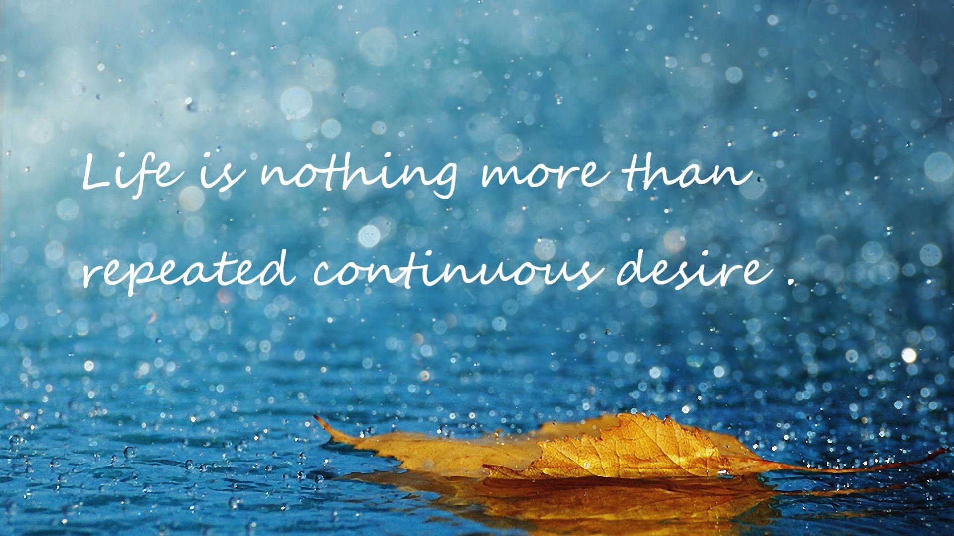 塞内加尔男篮在非洲锦标赛中奋勇争冠,创造非洲新纪录,非洲杯塞内加尔阵容