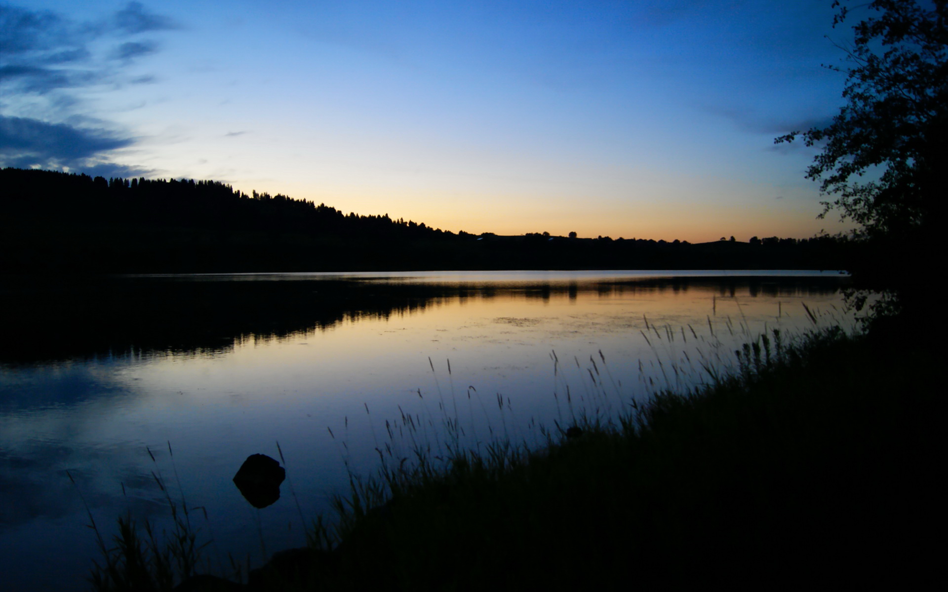 kaiyun-森林狼主场灯光系统升级完成投入使用，森林狼照明