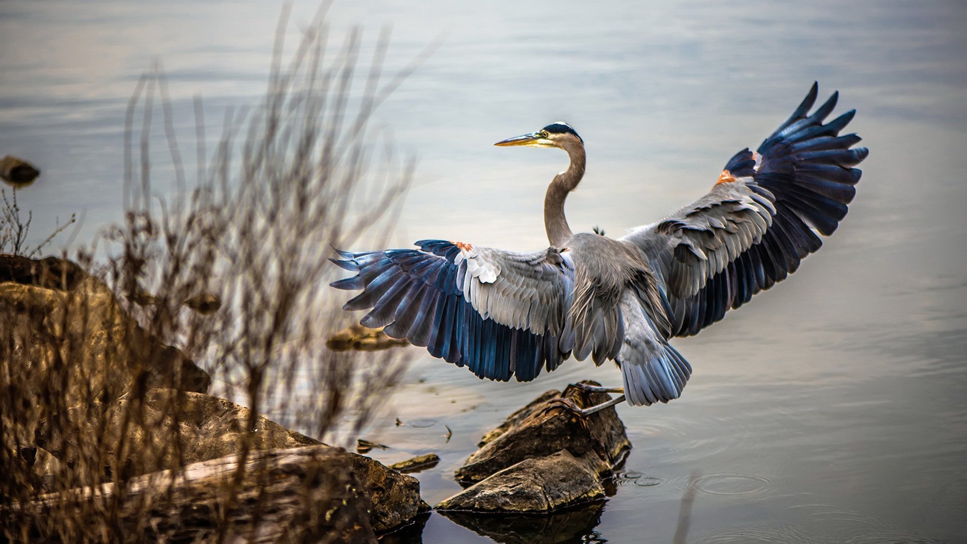 Kaiyun官方登录入口-法国男队整体体能储备充足，法国男子国家队